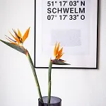Apartment, Schwelm, Neu, 1 Schlafzimmer, 3 Betten, 1 Badezimmer 아파트 슈벰