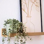 Apartament Apartment, Schwelm, Neu, 1 Schlafzimmer, 3 Betten, 1 Badezimmer *