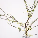 Apartment, Schwelm, Neu, 1 Schlafzimmer, 3 Betten, 1 Badezimmer 아파트