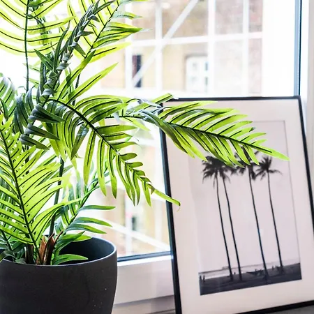 Apartment, Schwelm, Neu, 1 Schlafzimmer, 3 Betten, 1 Badezimmer شقة