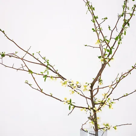 Apartment, Schwelm, Neu, 1 Schlafzimmer, 3 Betten, 1 Badezimmer شقة