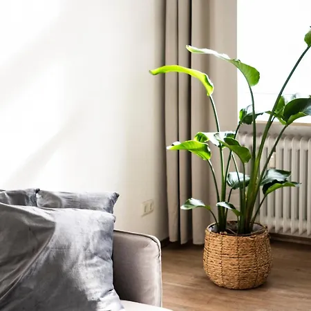 Apartment, Schwelm, Neu, 1 Schlafzimmer, 3 Betten, 1 Badezimmer * شفيلم