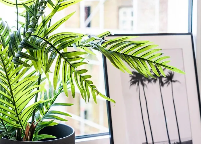 Apartment, Schwelm, Neu, 1 Schlafzimmer, 3 Betten, 1 Badezimmer アパート