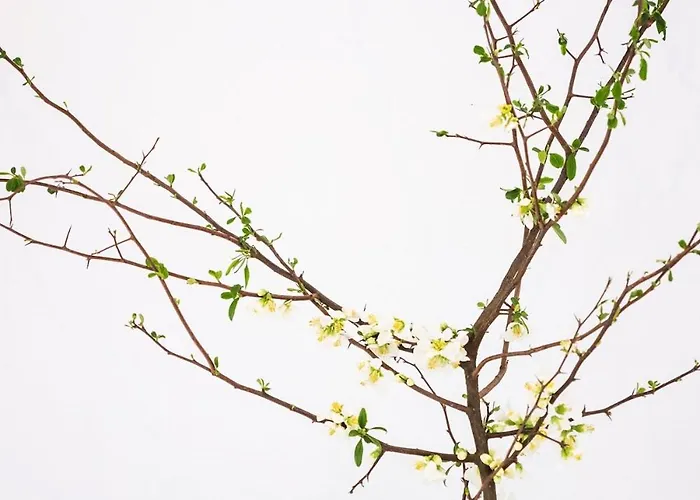 Apartment, Schwelm, Neu, 1 Schlafzimmer, 3 Betten, 1 Badezimmer アパート